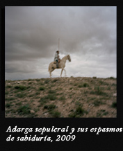 Adarga sepulcral y sus espasmos de sabiduria, 2009