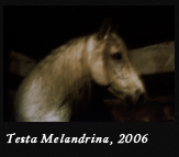 reverter-Testa Melandrina-2006
