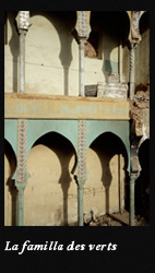 La familla des verts