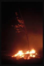 La quema II