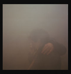 Pestes de viruela negra III