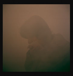 Pestes de viruela negra III