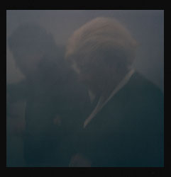 Pestes de viruela negra III