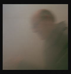 Pestes de viruela negra III