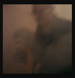 Pestes de viruela negra III