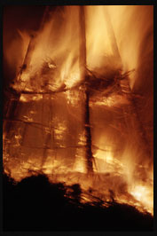 Las bilis de los garrotes