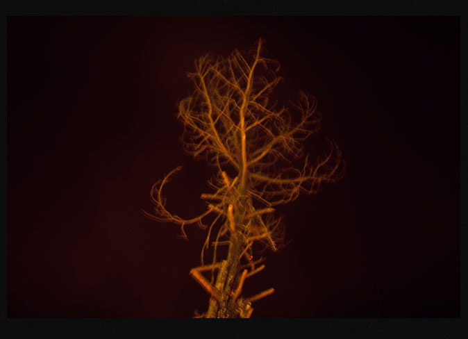 Seco frío quemado II