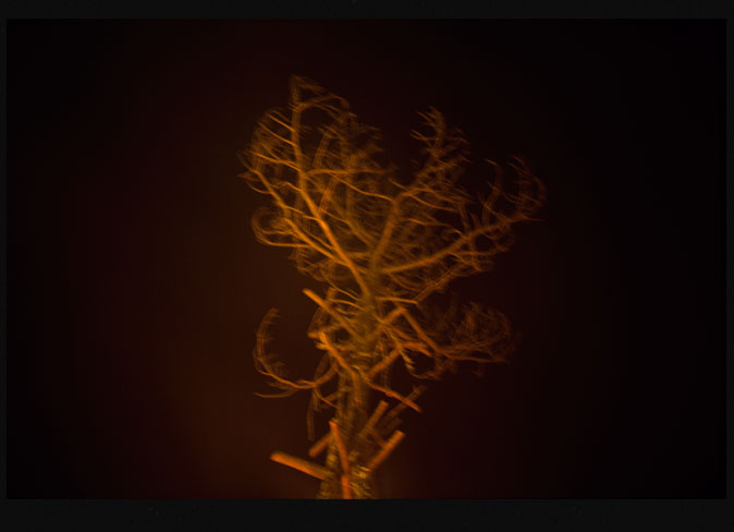 Seco frío quemado II