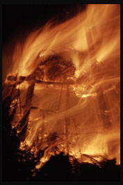 Las bilis de los garrotes