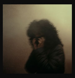 Pestes de viruela negra III