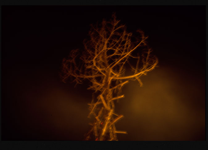 Seco frío quemado II