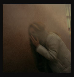 Pestes de viruela negra III