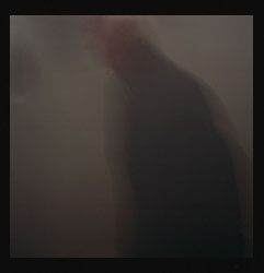 Pestes de viruela negra III