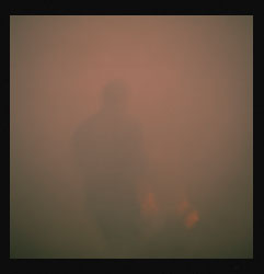 Pestes de viruela negra III