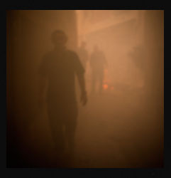 Pestes de viruela negra III