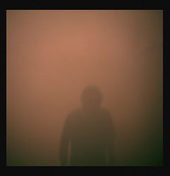 Pestes de viruela negra III