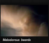 Malodorous beards