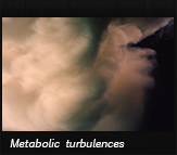 Metabolic turbulences